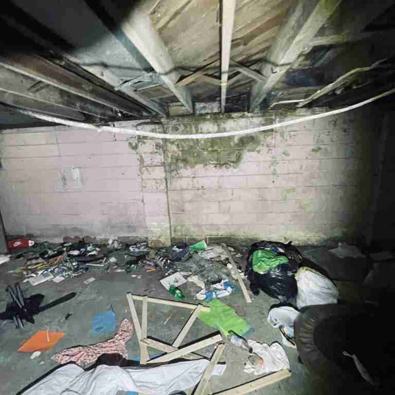 20506 Cardoni (65).jpg